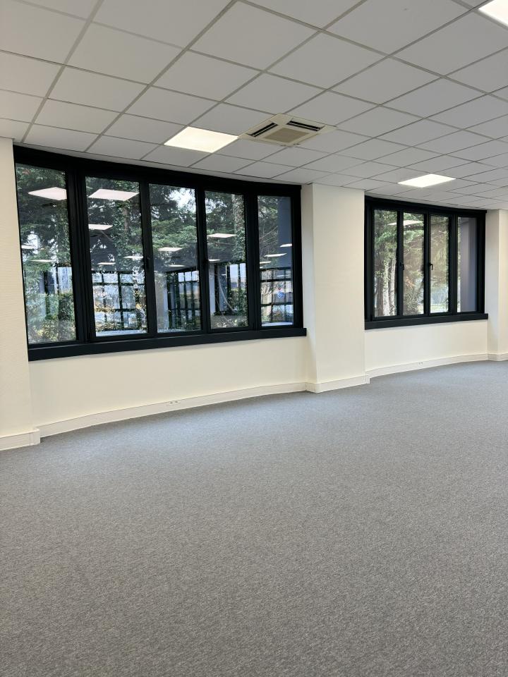 Bureau Saint-Didier-au-Mont-d'Or 1383m² Location bureau Saint-Didier-au-Mont-d'Or Rhône OLBUR2313558 9